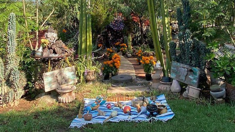 Entre-la-naturaleza-se-realizan-los-temazcales